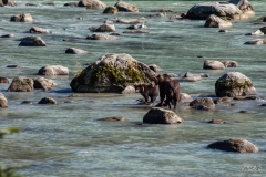 ALASKA-2015-239
