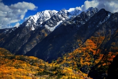 TOD100204-FLT1023-063