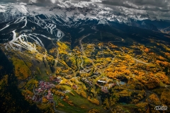 TOD100204-FLT1023-109