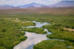 Salt-River-08-08-04