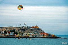 Mex010cc_149